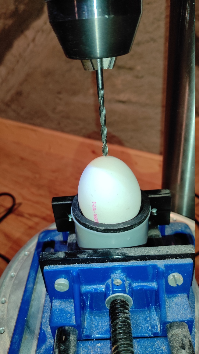 Industry strength egg cup